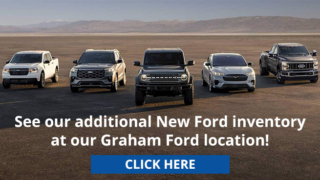 Additional Ford Inventory