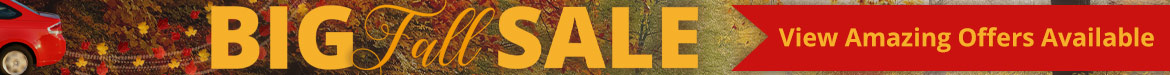 Fall Sale