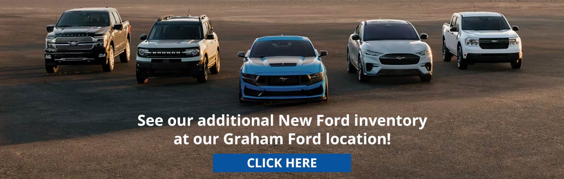 Additional Ford Inventory