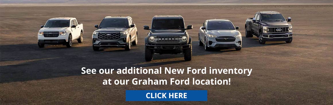Additional Ford Inventory